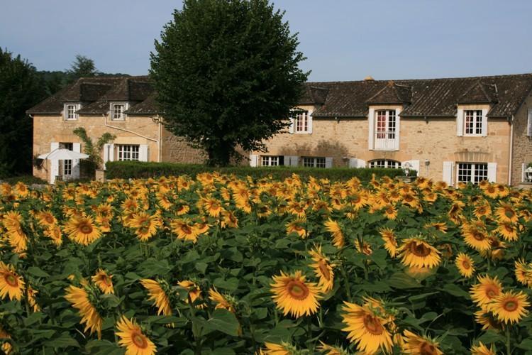Domaine Des Hirondelles Villa Saint-Vincent-de-Cosse Phòng bức ảnh
